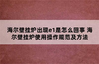 海尔壁挂炉出现e1是怎么回事 海尔壁挂炉使用操作规范及方法